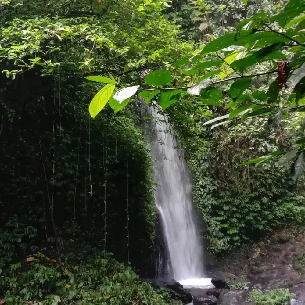 Air Terjun 7 Bidadari Jember
