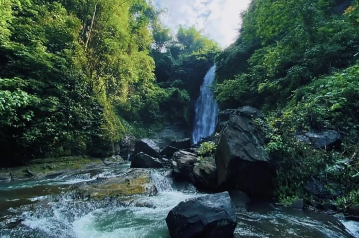 Air Terjun Antrokan Tanggul Jember: Pesona Air Terjun Alami di Desa Manggisan