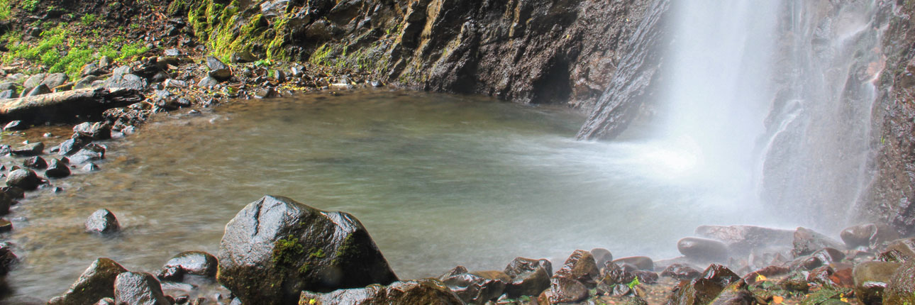 Air Terjun Tancak Panti Jember: Pesona Alam di Lereng Gunung Argopuro