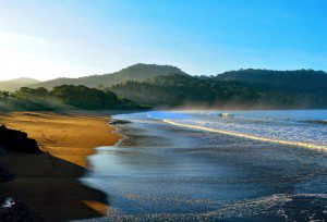 Pantai Bande Alit Jember: Pesona Pantai Selatan yang Masih Alami