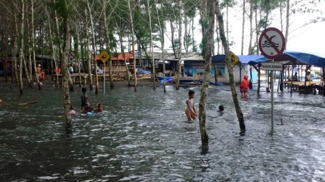 Pantai Cemara Puger Jember: Menikmati Suasana Pantai dengan Rindangnya Pohon Cemara