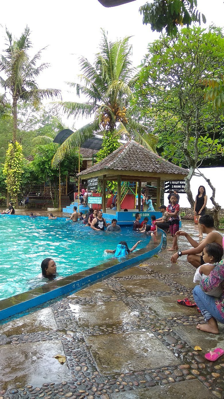 Taman Botani Sukorambi Jember: Wisata Alam, Edukasi, dan Rekreasi Keluarga